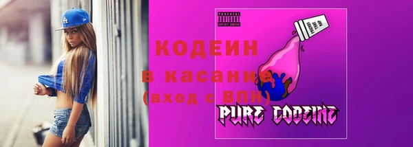 твердый Аркадак