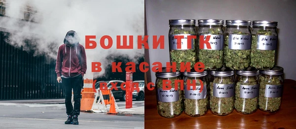 твердый Аркадак