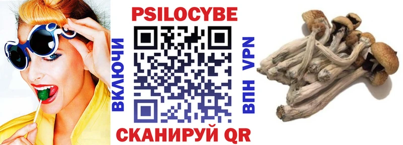 Псилоцибиновые грибы мухоморы  Купить где  Ак-Довурак 