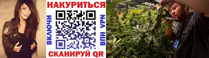 Купить где  Ак-Довурак  Бошки марихуана Bruce Banner 